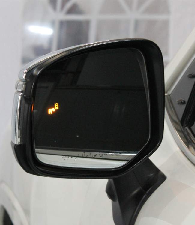 Blind Spot Monitor